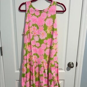 Lilly Pulitzer Dixi Dress Size Large